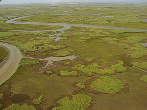 © Apoyamos el ordenamiento ambiental del territorio
© Apoyamos el ordenamiento ambiental del territorio