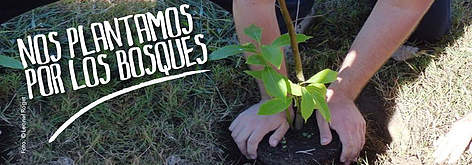 Nos plantamos por los bosques
© Leonel Roget rel=