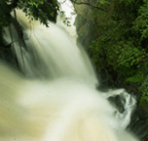 Cascada, Esteros del Iberá.
© FVSA
© FVSA