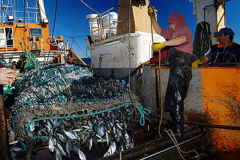 © Pesca en el Golfo San Matías (Río Negro) rel=