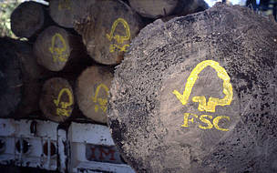 © Certificación FSC
© Certificación FSC
