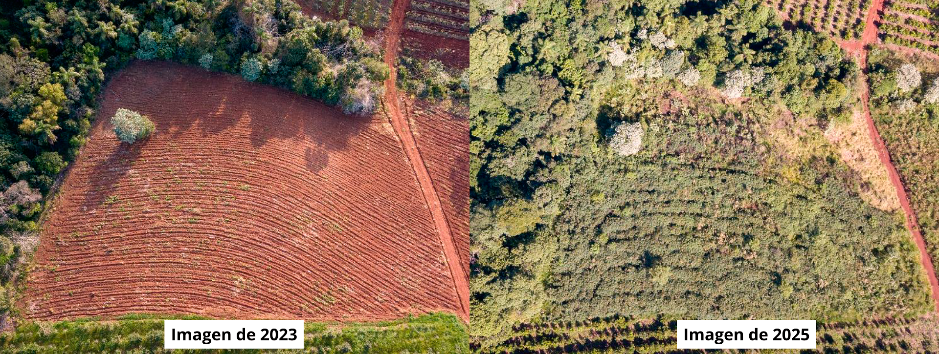 Comparación fotos restauración 23/25