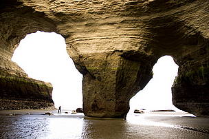 © Parque Nacional Monte León, provincia de Santa Cruz
© Parque Nacional Monte León, provincia de Santa Cruz