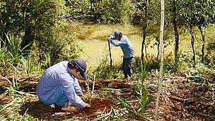 © Plantamos más de 37.000 árboles nativos en Andresito, Misiones
© Plantamos más de 37.000 árboles nativos en Andresito, Misiones