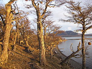 © Reserva Laguna Negra, provincia de Tierra del Fuego
© Reserva Laguna Negra, provincia de Tierra del Fuego