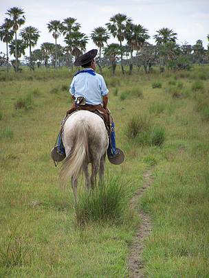 © Refugio de Vida Silvestre Estancia San Antonio
© Refugio de Vida Silvestre Estancia San Antonio