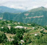 Selva de Yungas
© FVSA
© FVSA