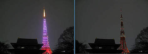 LHP 2010 - Tokio, Japón - Torre de Japón
© WWF Japan - Eriko Hiruta rel=