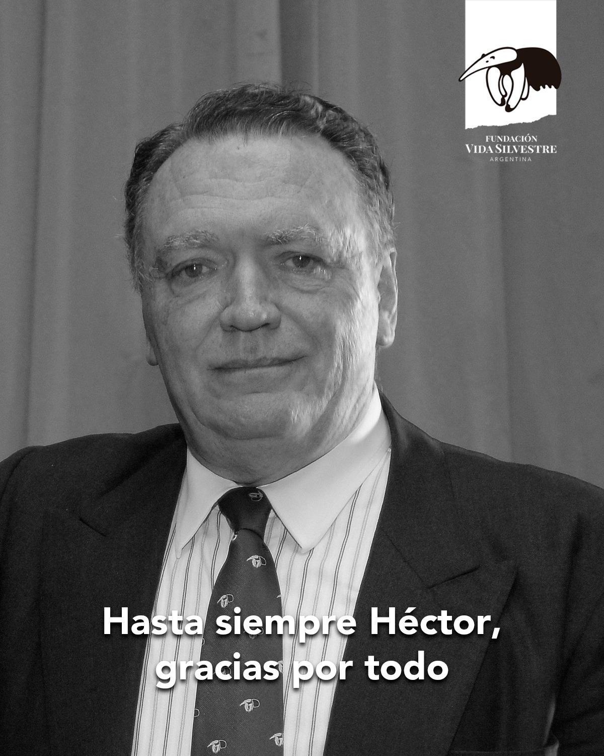 hector-laurence